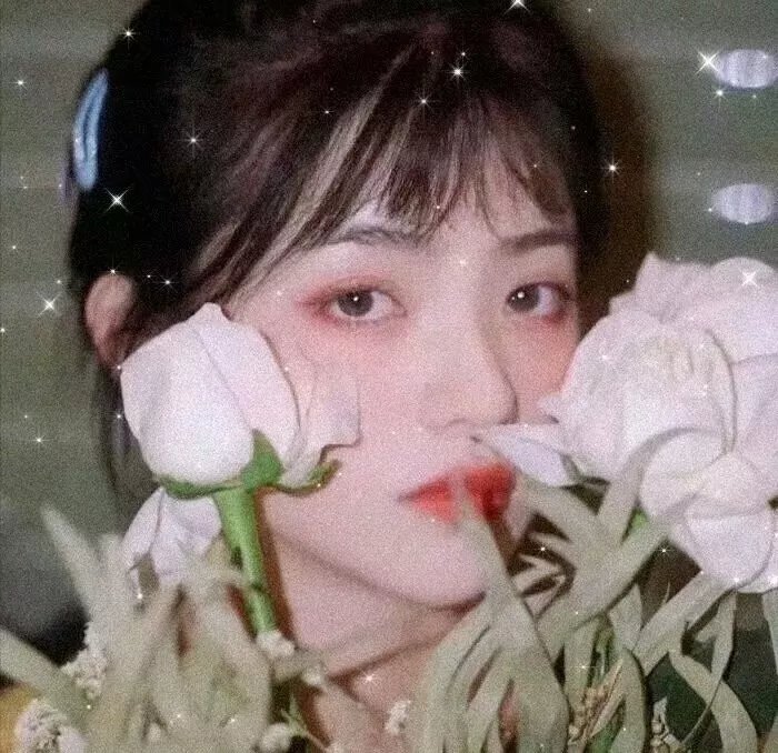草木人间
